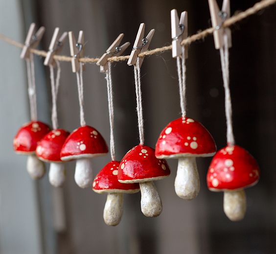 Mushroom Chikkalakka